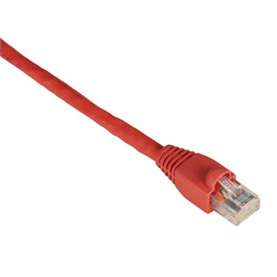 CAT6 550 UTP PVC SG RD 10'