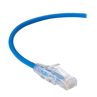 CAT6 250 UTP PVC SG BL 10'